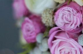 Here Comes the Bride