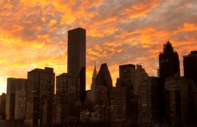 Contributor of the Month: Stockmedia